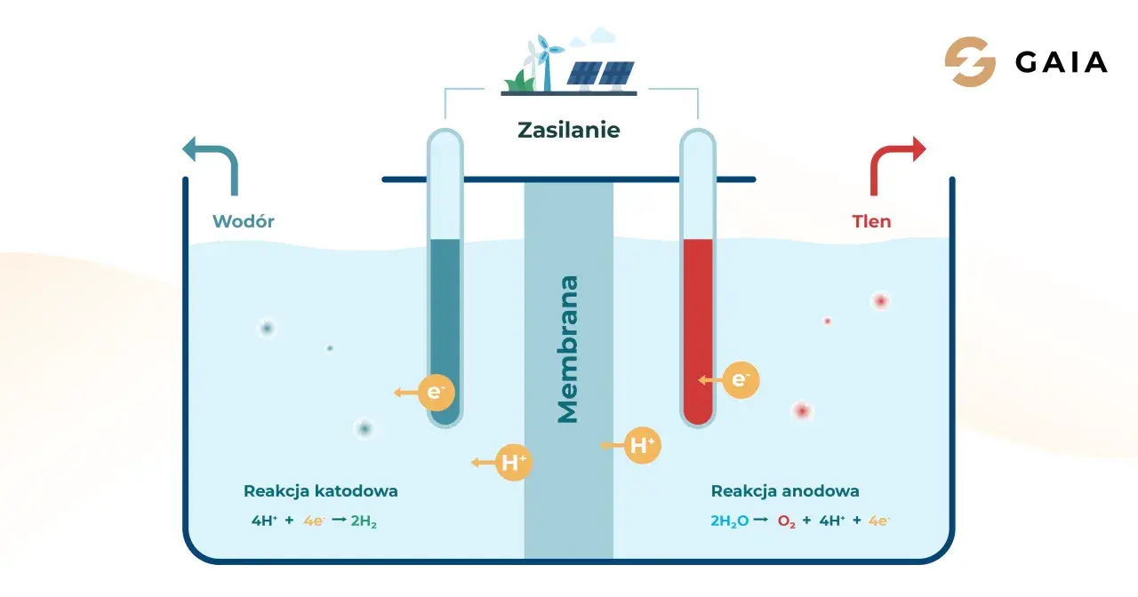 Ilustracja przedstawia proces produkcji wodoru w elektrolizerze. Zasilanie z wiatraków i paneli słonecznych napędza reakcje, które rozdzielają wodę na wodór i tlen.