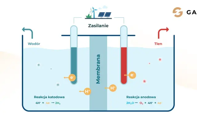Ilustracja przedstawia proces produkcji wodoru w elektrolizerze. Zasilanie z wiatraków i paneli słonecznych napędza reakcje, które rozdzielają wodę na wodór i tlen.