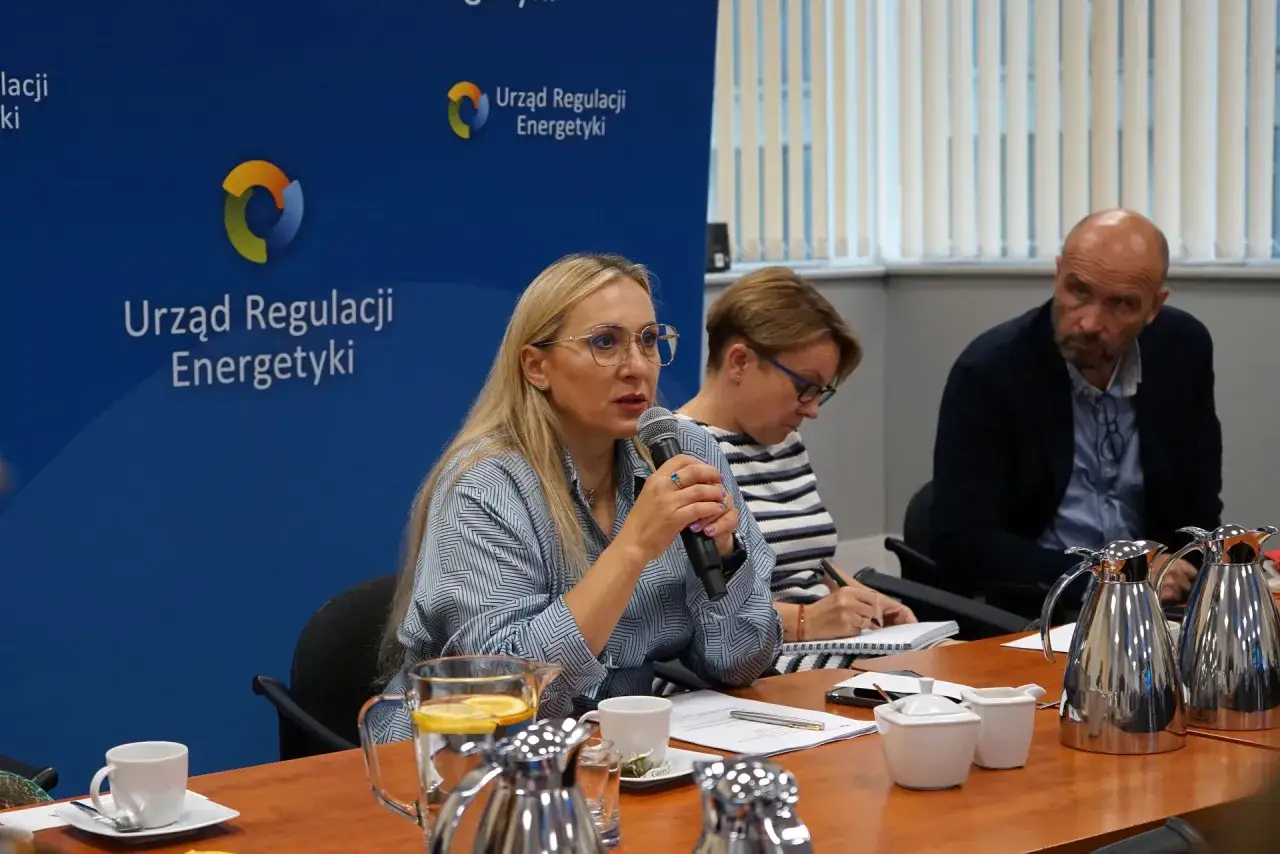 Kobieta przemawia do mikrofonu na tle logo Urzędu Regulacji Energetyki. Uczestnicy spotkania, to ure co to.
